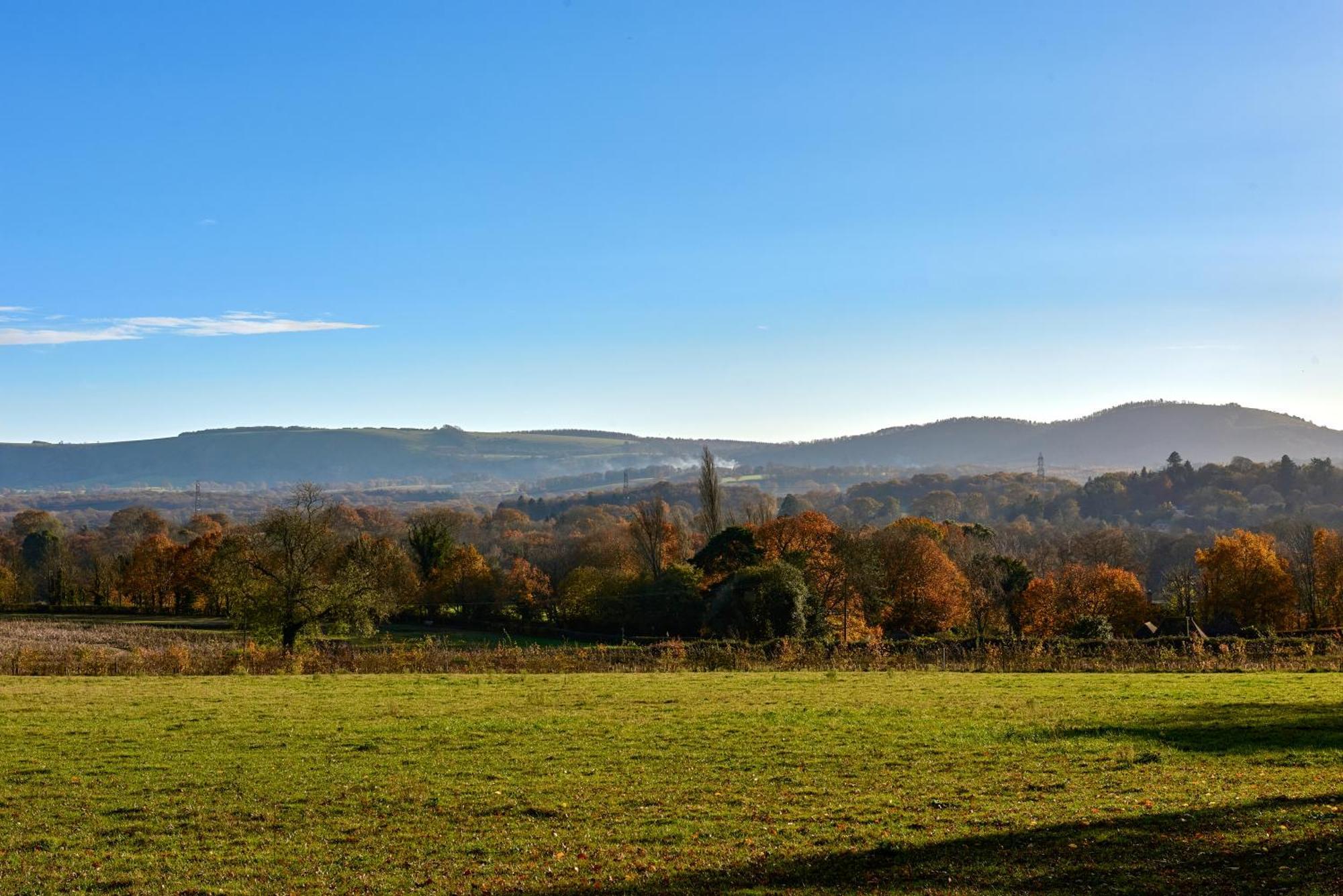Apartament Garden Flat Near Goodwood With Stunning Views Petersfield Zewnętrze zdjęcie