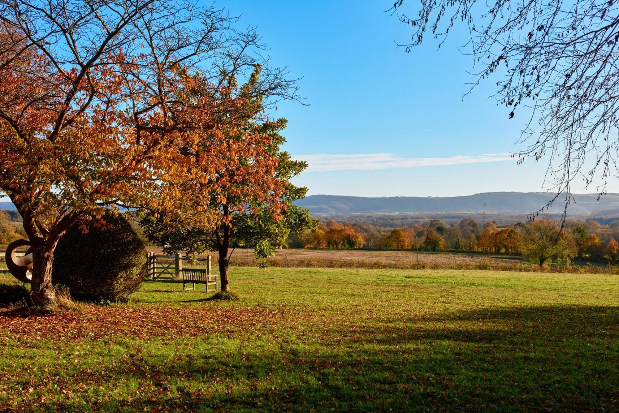 Apartament Garden Flat Near Goodwood With Stunning Views Petersfield Zewnętrze zdjęcie